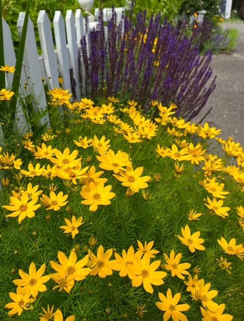 Bed and Breakfast The Hazelhouse Chilliwack Esterno foto