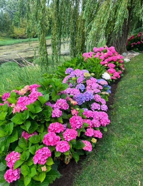 Bed and Breakfast The Hazelhouse Chilliwack Esterno foto